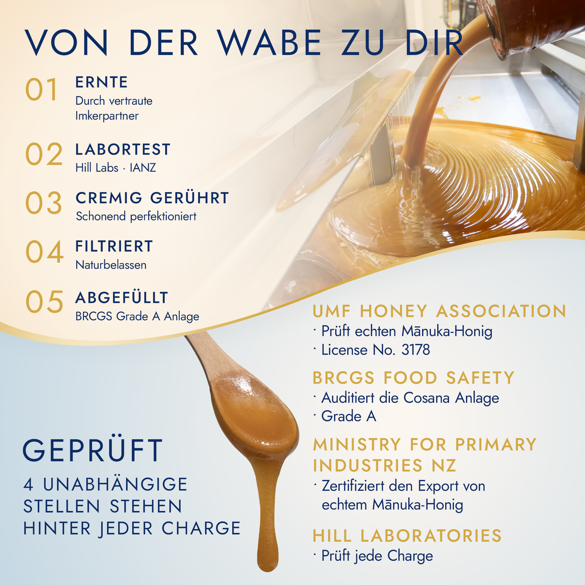 Von der Wabe zu dir: Ernte, Labortest bei Hill Labs, cremig gerührt, filtriert, abgefüllt in der BRCGS-zertifizierten Anlage